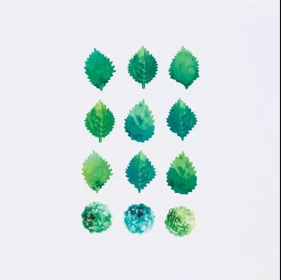 樹葉膠帶設計